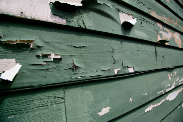 Best Siding Painting and Refinishing  in Brewster, WA