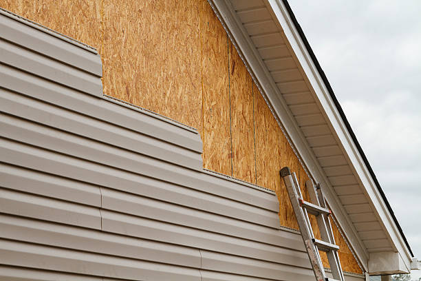 Best Custom Siding Design  in Brewster, WA